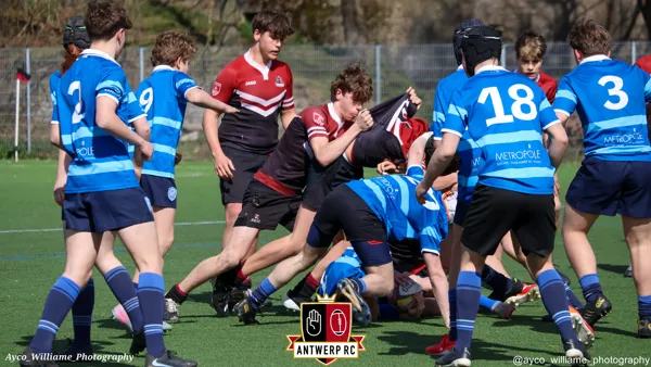 U16: Antwerp leuven-14