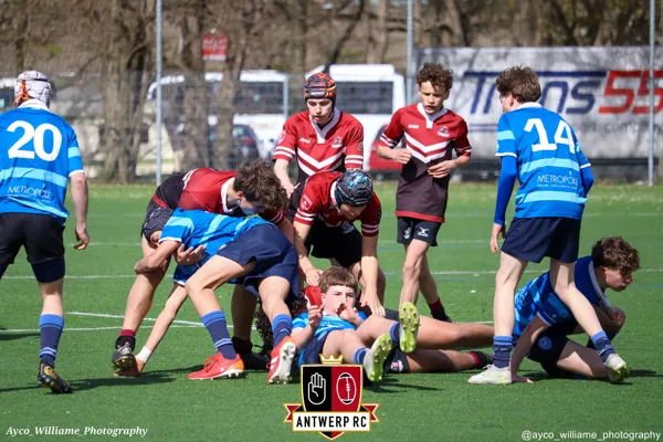 U16: Antwerp leuven-6