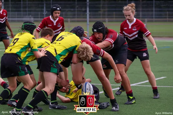 ANTWERP RC-Dendermonde RC-61