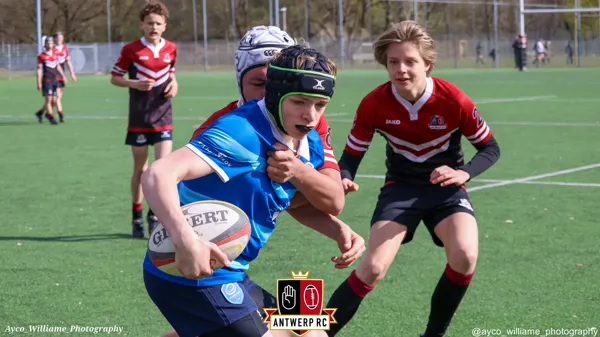 U16: Antwerp leuven-28