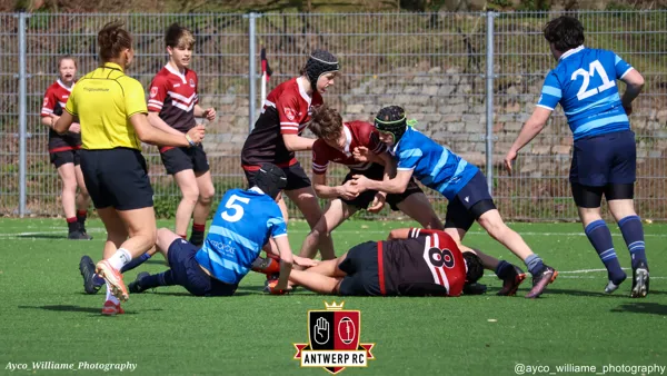 U16: Antwerp leuven-16
