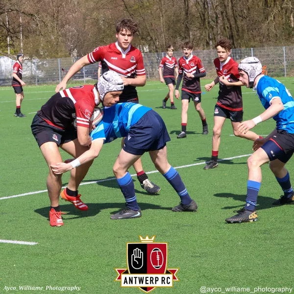 U16: Antwerp leuven-8
