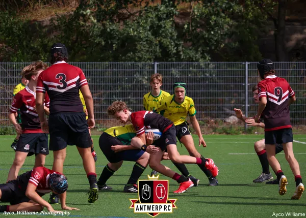 ANTWERP RC-Dendermonde RC-41