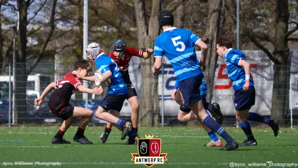 U16: Antwerp leuven-13