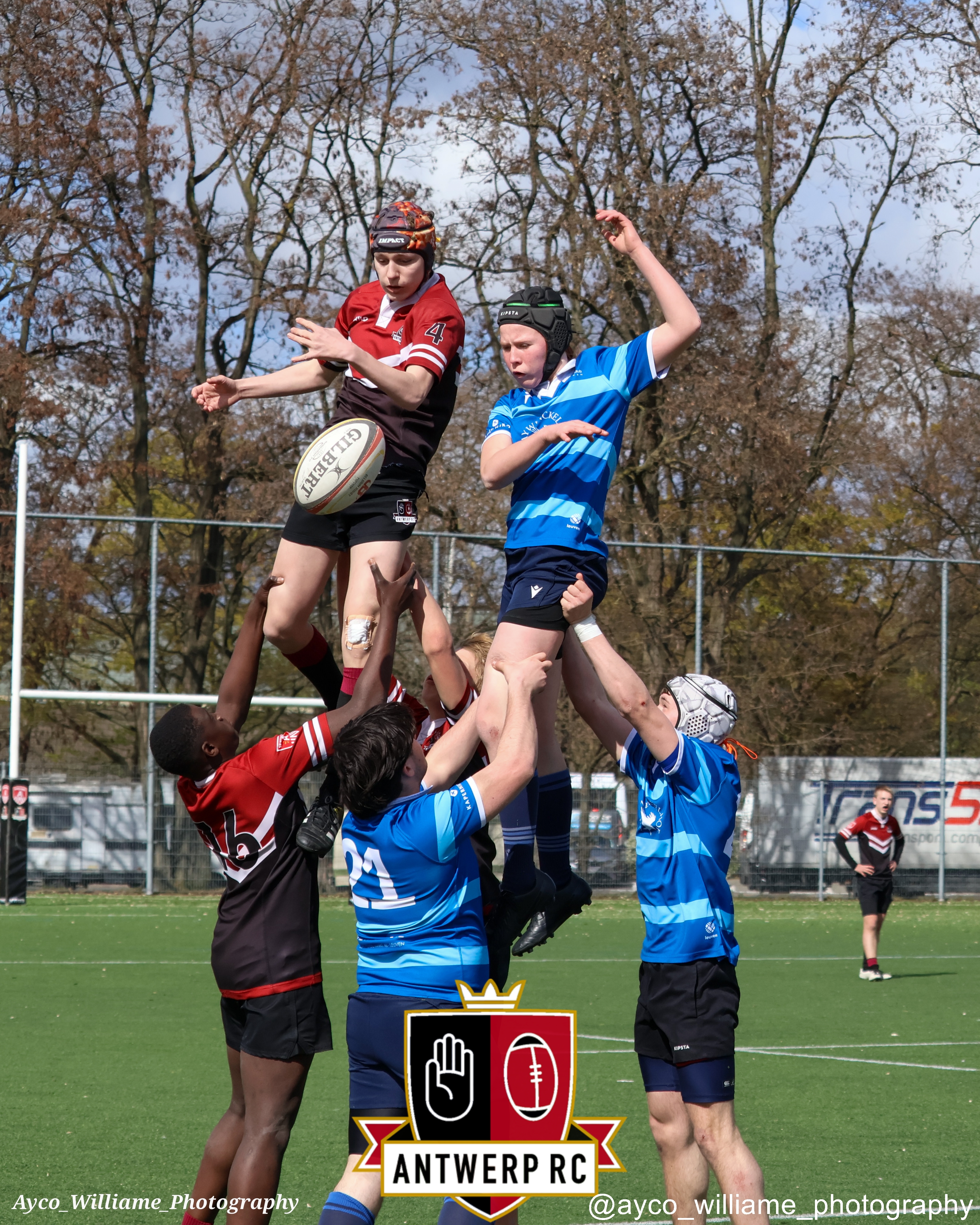 U16: Antwerp leuven