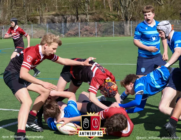 U16: Antwerp leuven-5
